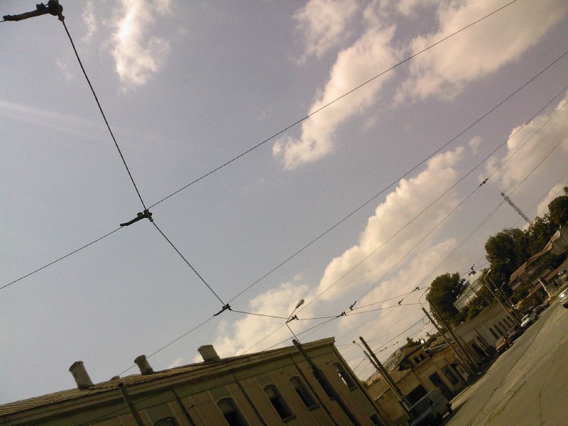 1797 - retea de tramvai inainte de bucla de la capatul de linie (11.08.2008).jpg