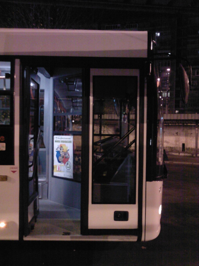 2934 - 620 cabina vedere exterioara (10.11.2008).jpg