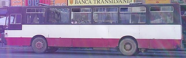 3-bus-0231_680.jpg