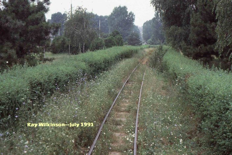 Part-of-the-overgrown-track-768x512.jpg
