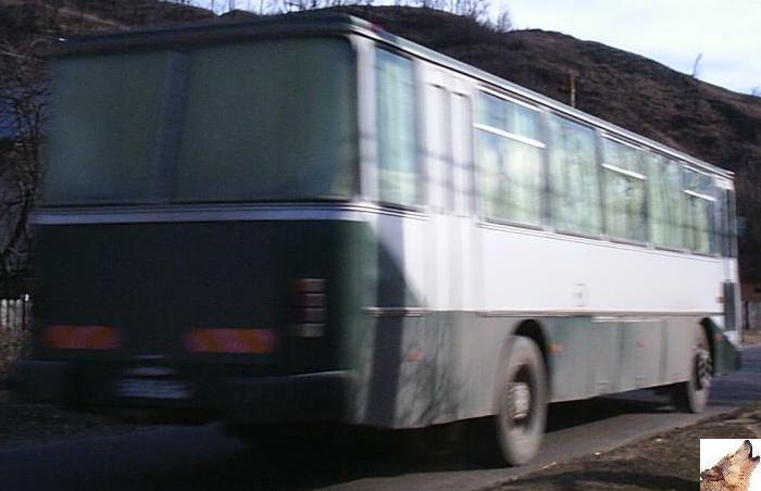 5-bus-0007_847.jpg