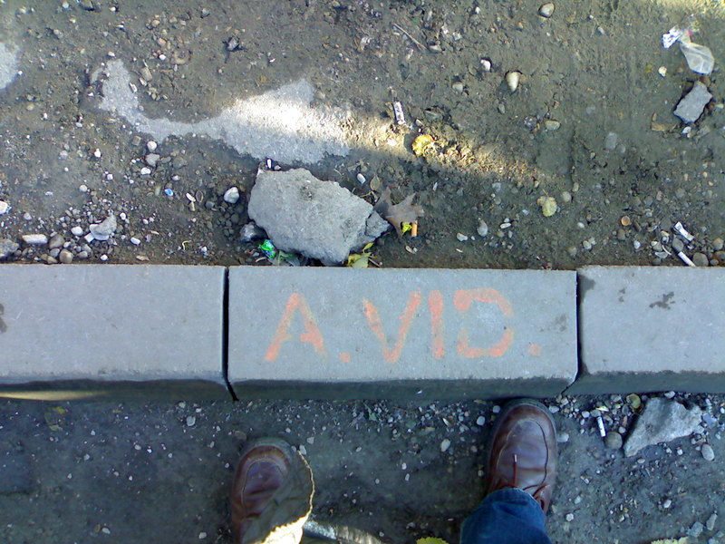 Adriean Videanu face trotuarul!.jpg