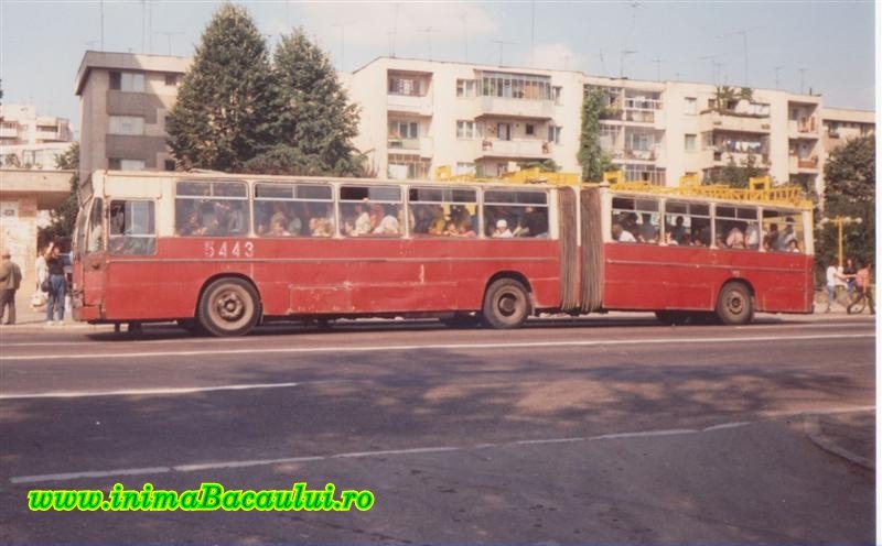 Bacau autobuze inimaBacaului.ro (1).jpg