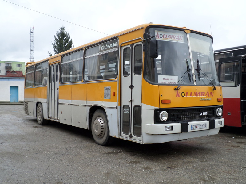 bus 1151.jpg