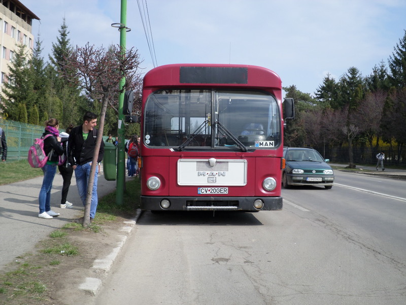 bus 484.jpg