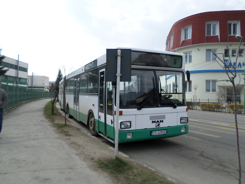 bus 494.jpg