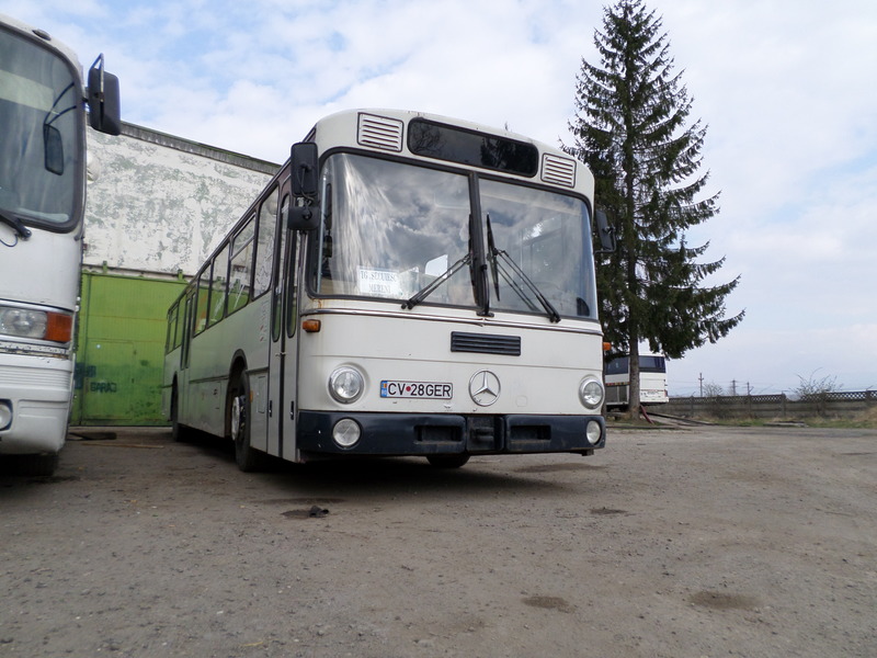 bus 590.jpg