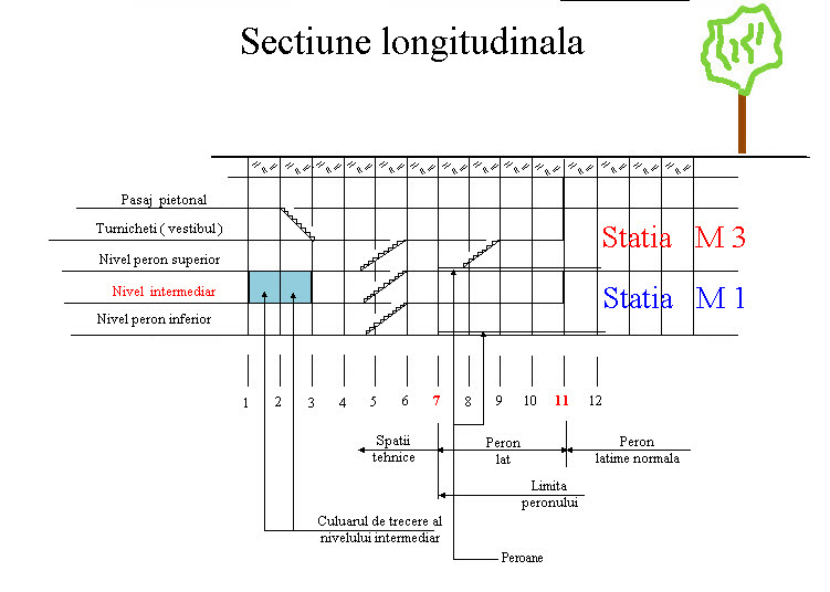 Sectiune longitudinala.jpg