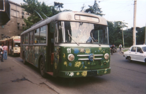 Timisoara bus.JPG