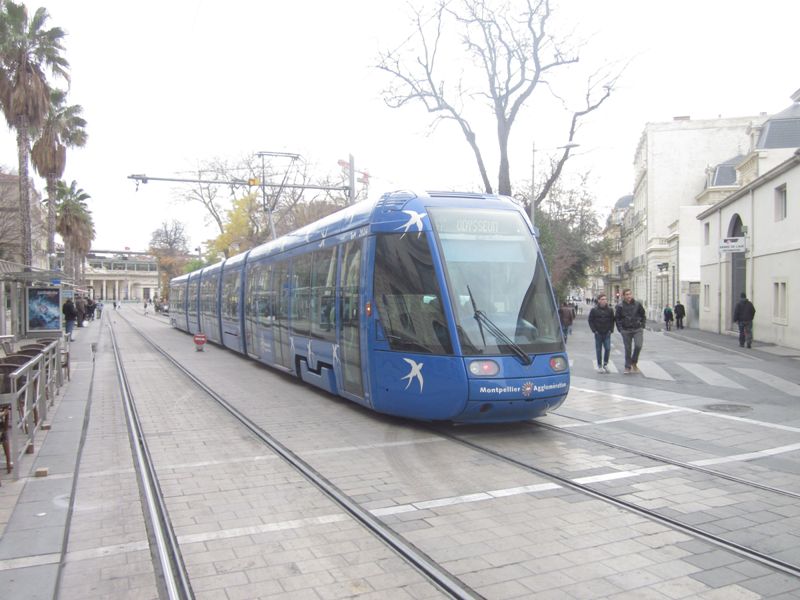 Transport in comun (Montpellier) 063.jpg